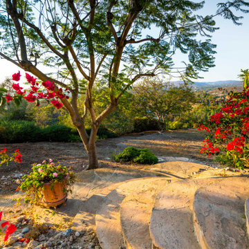 Mathew Project : Western Outdoor Designs