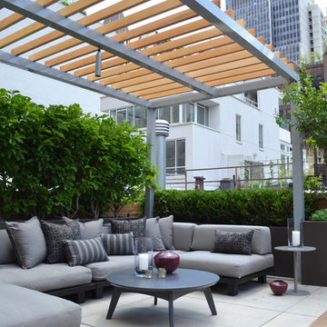 Financial District Penthouse