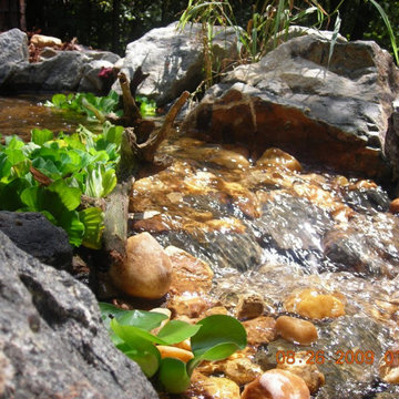 Ponds and Streams
