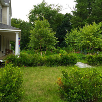 Prairie Garden