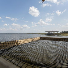 Dock