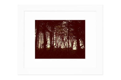 "Through the Trees (Warm)" - 11x14 / 16x20 - Seamless White Frame
