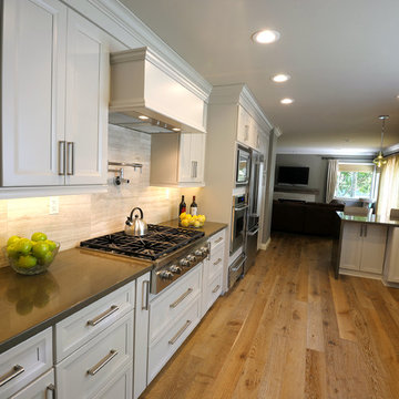 Lake Forest kitchen