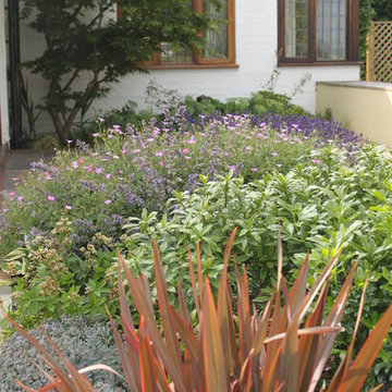 Glorious planting view from the house