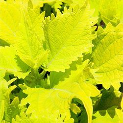 New Stock Photography - Products