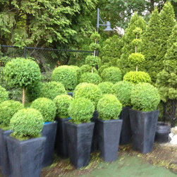 Container Planting Designs - Products