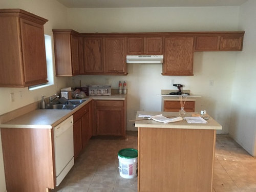 Help Working Within An Ugly Kitchen And Limited Options