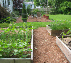 Vegetable Garden design fitting into the landscape?