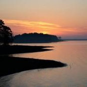 Shelly Wade's photo