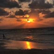 Mohamed Dorry's photo