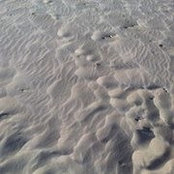 Daniel Oliveira's photo