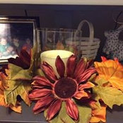 Gina Raucci's photo