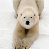 Mireille Mallouh's photo