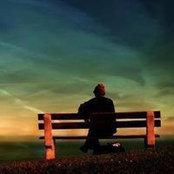 Diane Allard's photo