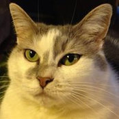 Christa Gustafson's photo