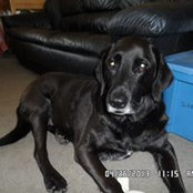 Phyllis Parker Schweiss's photo