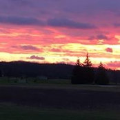 Laura Stauffer-Beach's photo