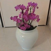 Daniela Andreini's photo