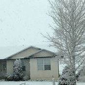Joyce Schwartze's photo