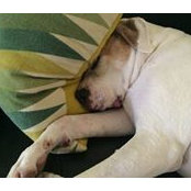 Carole Hunt's photo