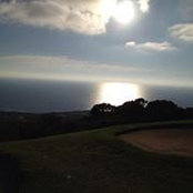 Lorie Pickens's photo