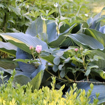 Unique Gardens