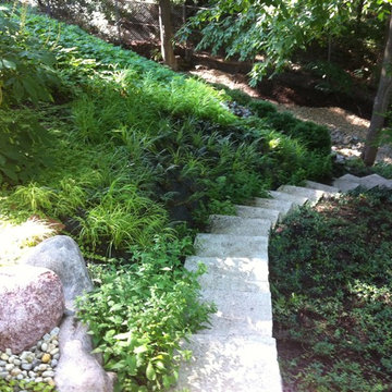 Ravine Restoration and Stabilization