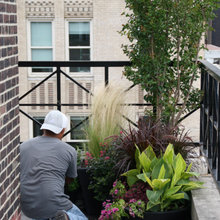 Home Exterior