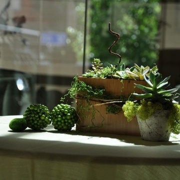 Nature in a Vase