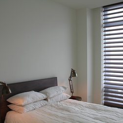 Hunter Douglas Pirouettes - Chicago - Window Treatments