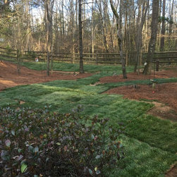 Fescue Installation (Finished) - Products