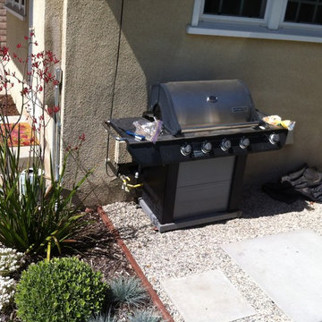 Back yard dry tolerant landscape. garage conversion