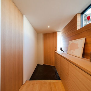 他の地域の中サイズの片開きドアモダンスタイルのおしゃれな玄関ホール (白い壁、木目調のドア、黒い床) の写真