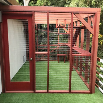 Los Angeles Catio