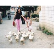 Foto de Siew Lan Loo
