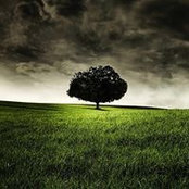 Janine Wright's photo