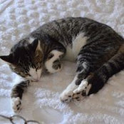 Deanna Hill's photo