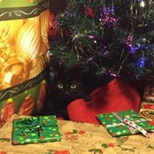 Mary Hubbard's photo