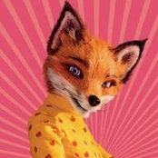 Lisa Stonestreet's photo