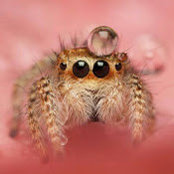 stephanie lundsten's photo