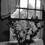 Ranea Lynchs foto