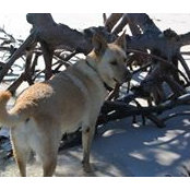Karen Schaaf's photo