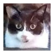Laurie Gelb's photo