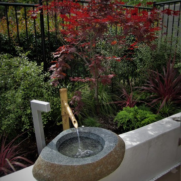 Vertical Garden Designs - La Jolla