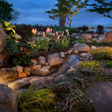 streambed