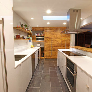 Bellevue Ranch Renovation