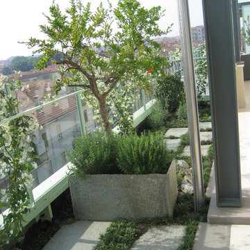hanging garden near the river Ticino's valley and Park