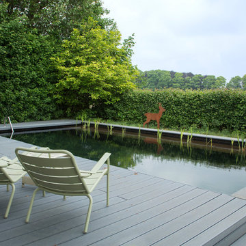 My Houzz: A Netherlands Home Opens Up