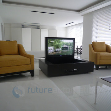 Future Automaton Hinge Up TV Lift