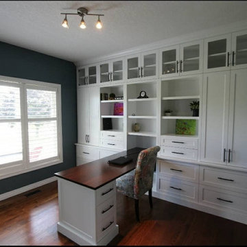 Profile I Shaker Cabinets in Snow White